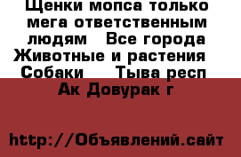 Щенки мопса только мега-ответственным людям - Все города Животные и растения » Собаки   . Тыва респ.,Ак-Довурак г.